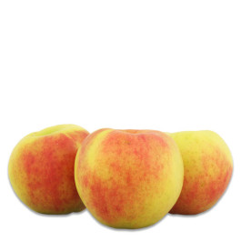 Dicovery Apfel