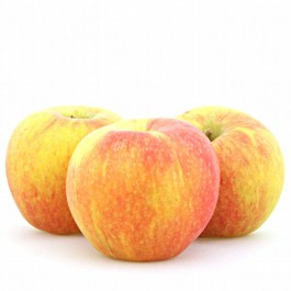Alkmene Apfel