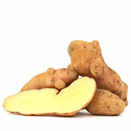 Vohrener Hörnchen Kartoffel festkochend 100g