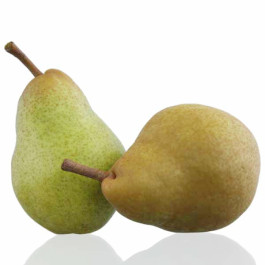 Birne, Frühe aus Trevou, Form Packham