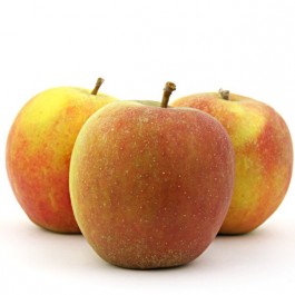 Holsteiner Cox Apfel 1000g