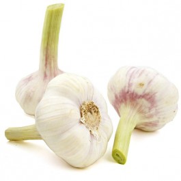 Knoblauch frisch