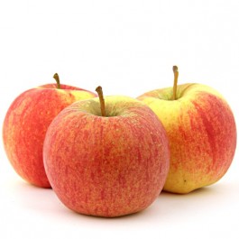 Shampion Apfel 1000g