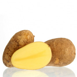 Simonetta Kartoffel festkochend 100g