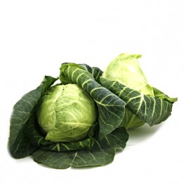 Spitzkohl