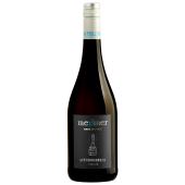Spätburgunder Rotwein trocken Qualitätswein, Made in Pfalz,  750 ml, Weinhaus Messmer