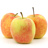 Delbarestivale, Apfel gross
