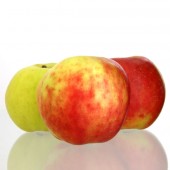 Gravensteiner, Apfel