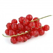 Rote Johannisbeeren