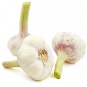 Knoblauch frisch