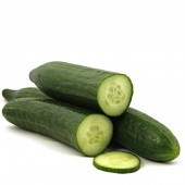 Salatgurke 