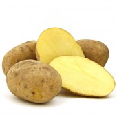 Solara Kartoffel vorwiegend festkochend
