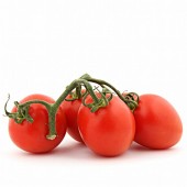 Tomaten "Tasty Tom","Red Pearl"