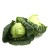 Spitzkohl  1 kg, Portugal